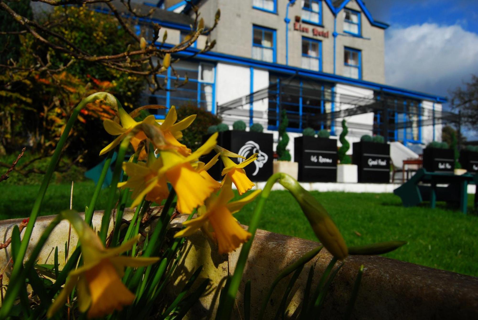 Lion Hotel & Studio Apartments Criccieth Exterior foto